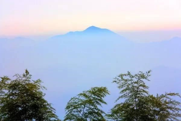 铜鼓大沩山风景区介绍 杜鹃花观赏