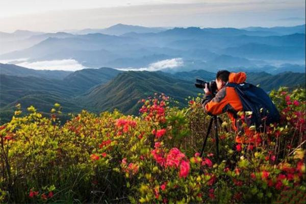 铜鼓大沩山风景区介绍 杜鹃花观赏